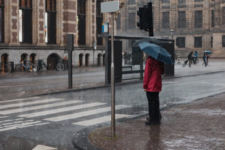 What to Do in Chicago in the Rain